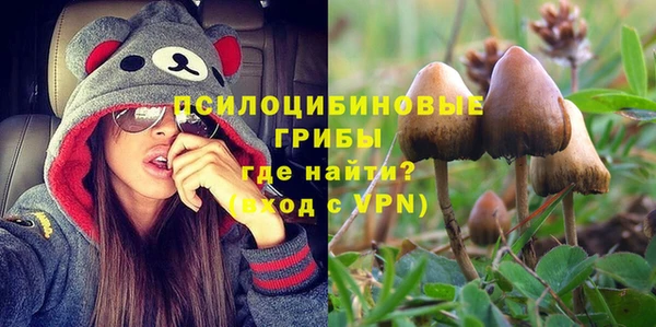 a pvp Богородицк