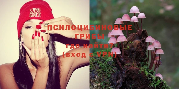 a pvp Богородск