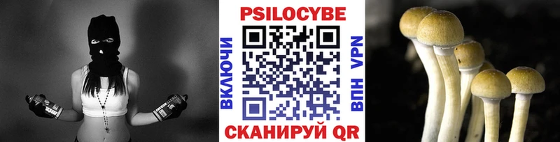 OMG вход  Мезень  Псилоцибиновые грибы MAGIC MUSHROOMS 